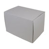 One Piece Mailing Gift Box 23795 - ACP