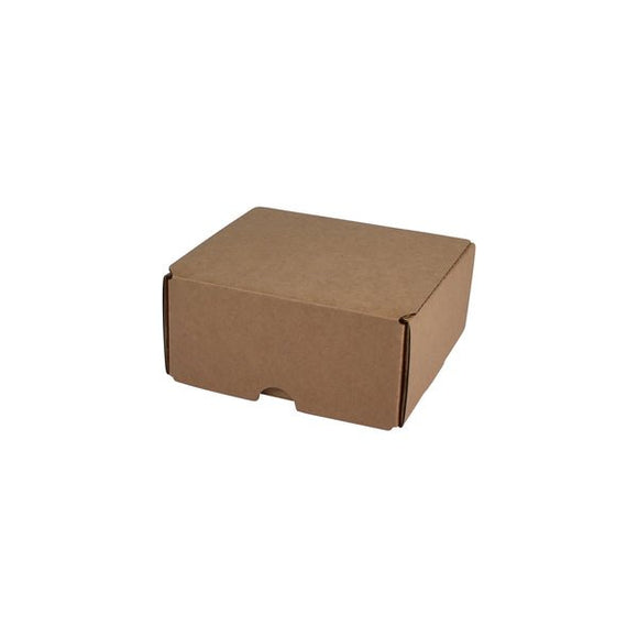 SAMPLE - B Flute - 2 Beer Can Shipper Box - Kraft Brown - ACP