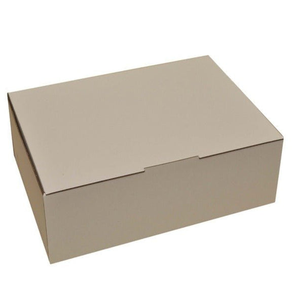 SAMPLE - B Flute - Large Postage Box - Kraft White (BXP4) - ACP